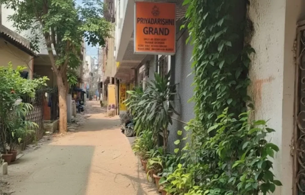 Gallery Picture